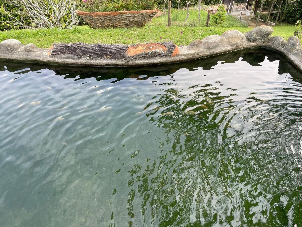 Finca Hotel Villa Camila コパカバーナ エクステリア 写真