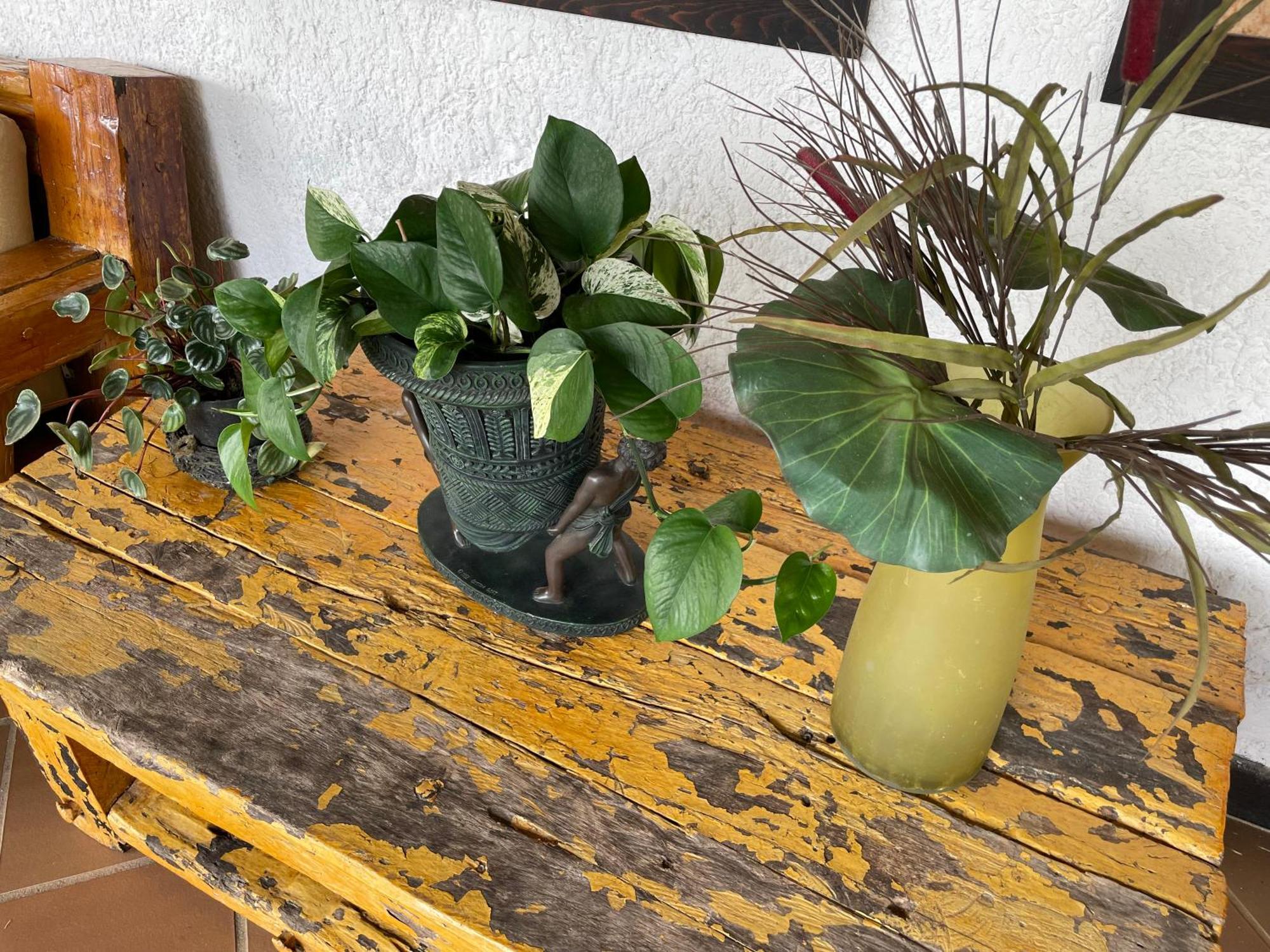 Finca Hotel Villa Camila コパカバーナ エクステリア 写真